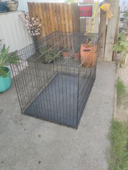 48" foldable dog crate used large dog