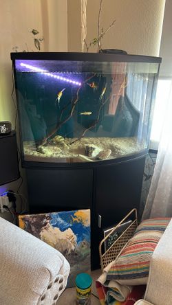 38 Gallon Tank 