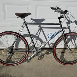 1985 ROSS Mt Whitney 21"