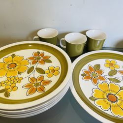 Mikasa Cera-Stone Awake D-1451 Plate Set 22 PCs