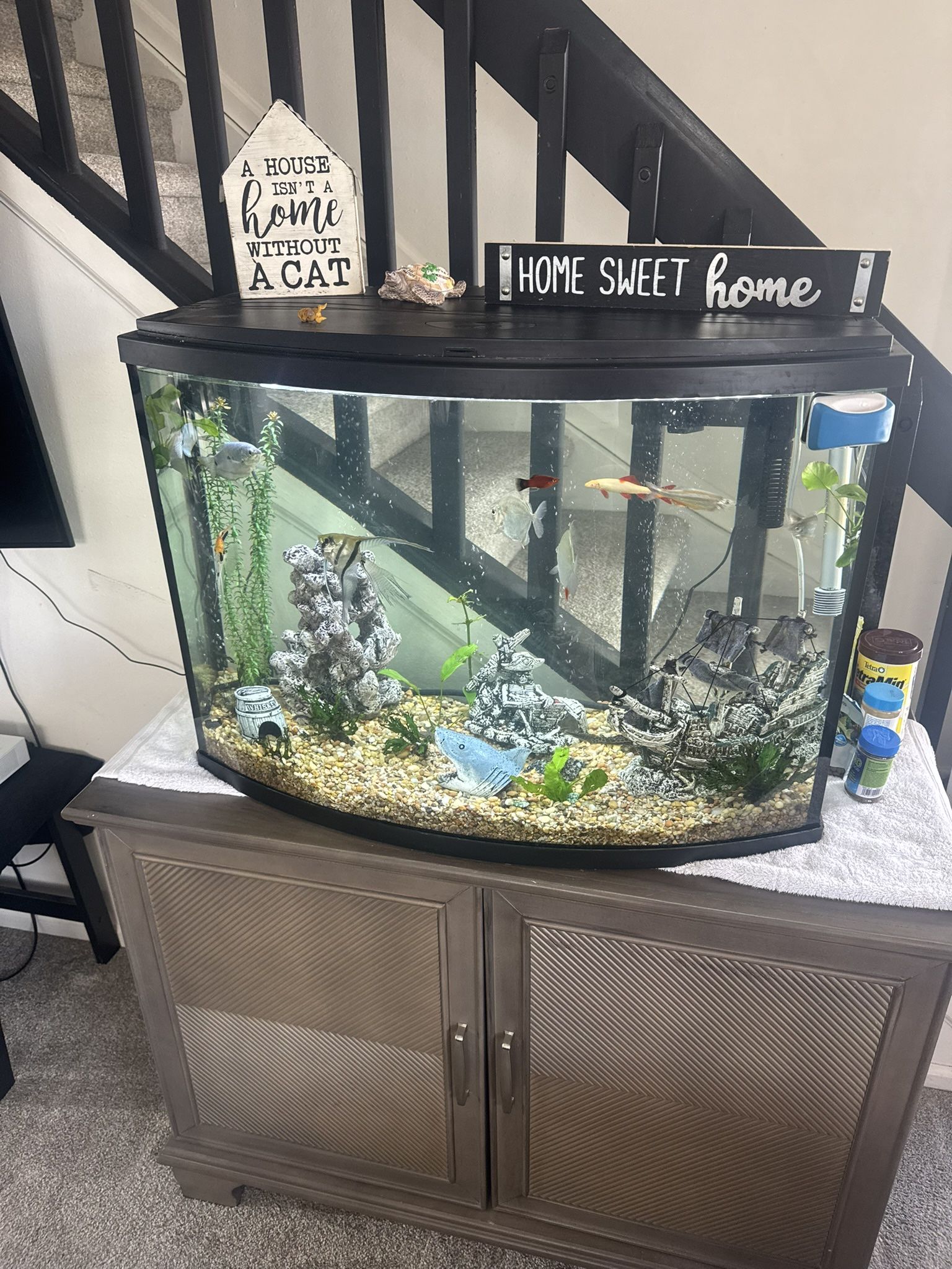 36 Gallon Fish Tank And Stand
