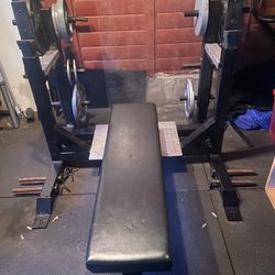 Workout Bench 