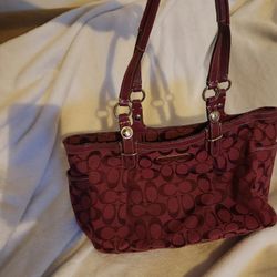 Coach Purse And Dust Bag