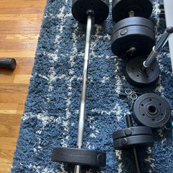 Variable Weights/ Ez Curl Bar