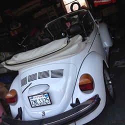 White Bug 4 Sale 1978