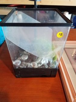 Fish or reptile tank