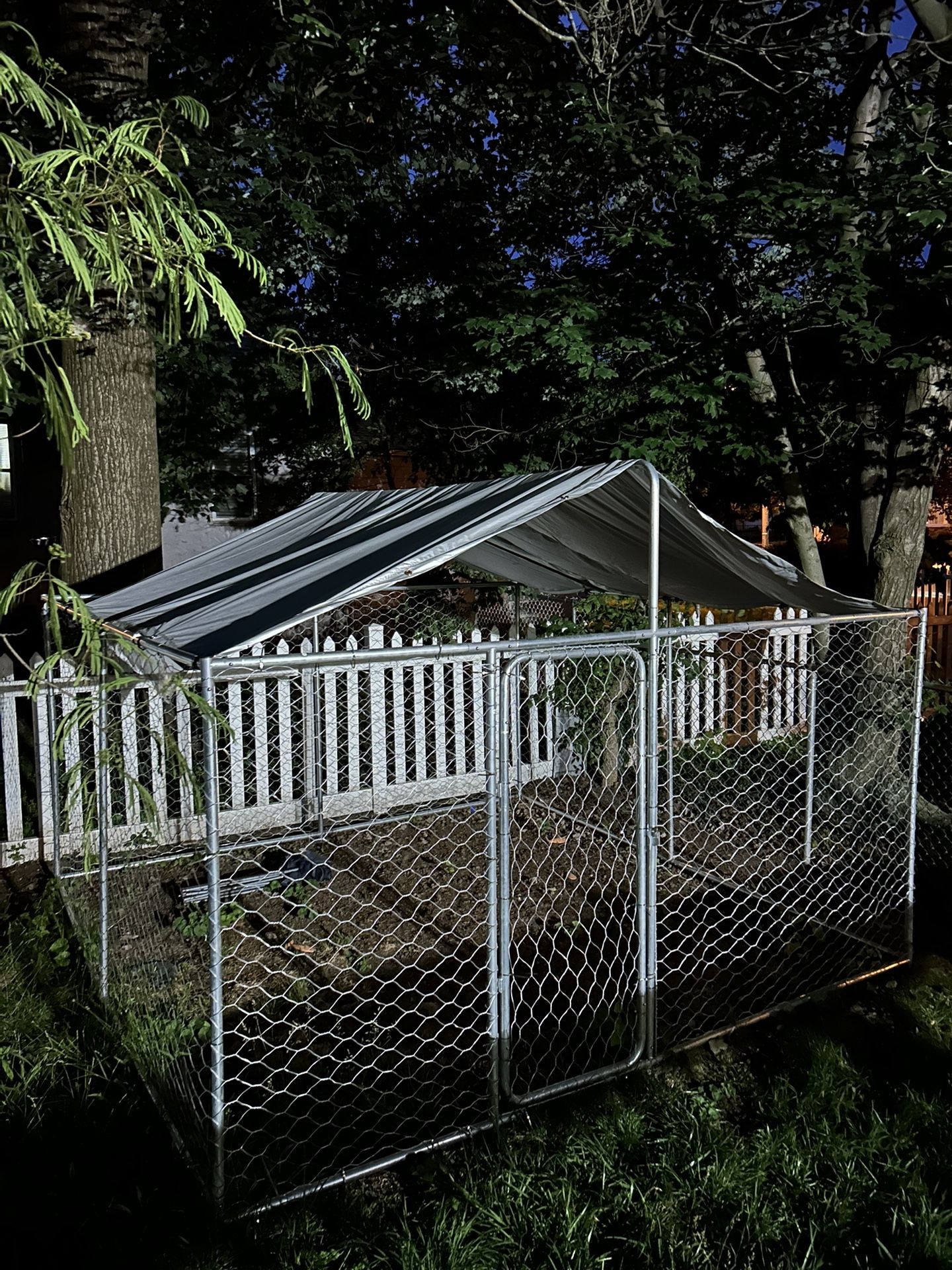 Outdoor Dog Kennel
