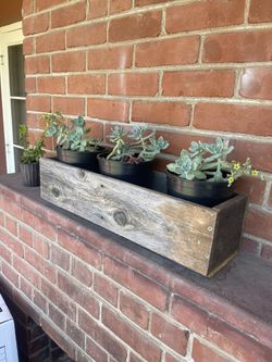 Succulent Planter Box