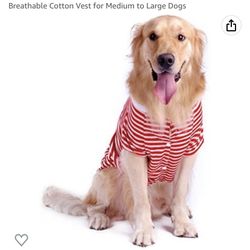 The Waldo Costume/ For A Large Dog