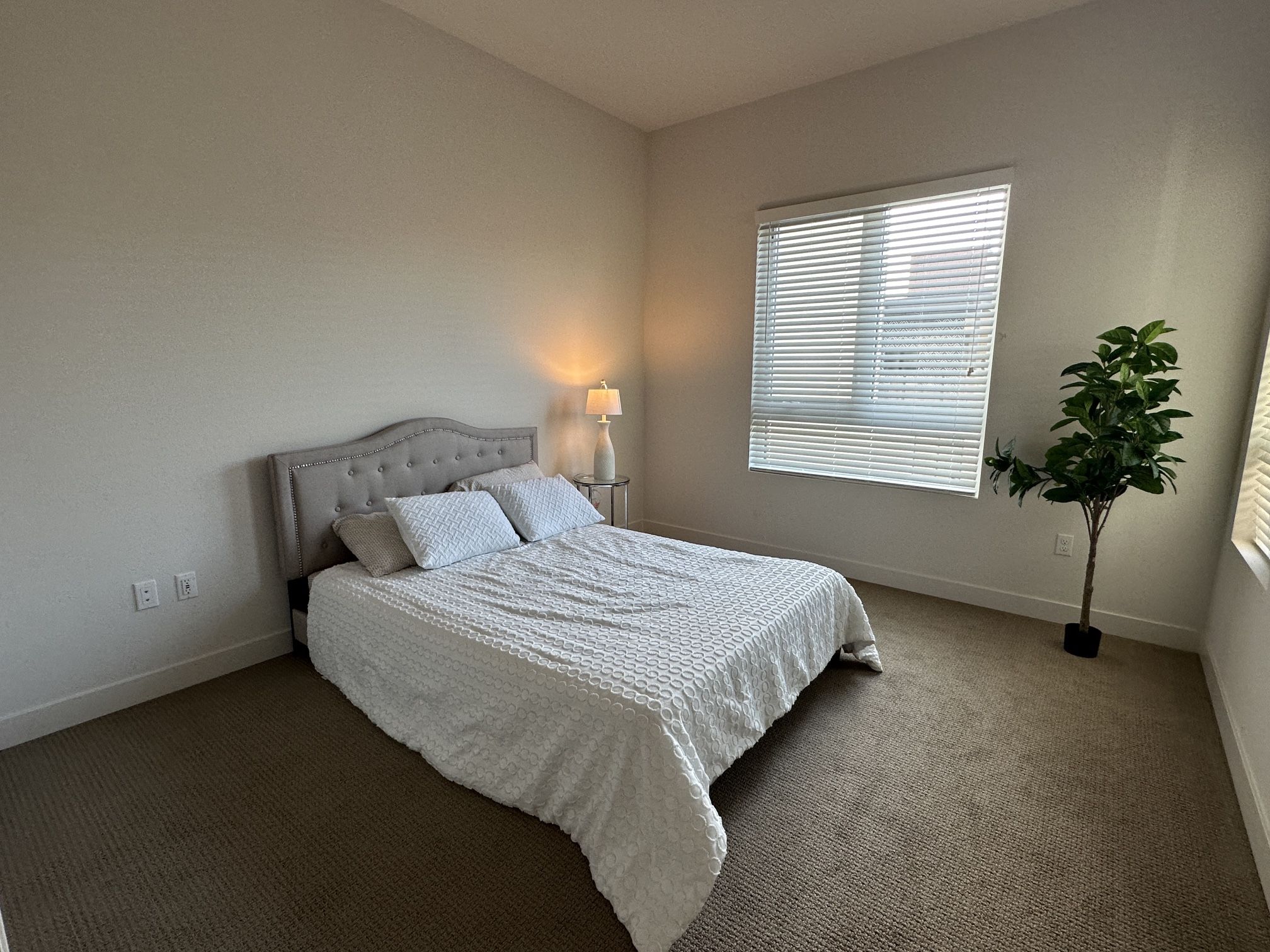 Queen Bed Frame + Mattress