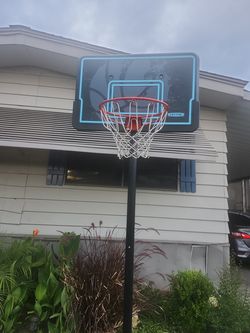 Bule black basketball hoop