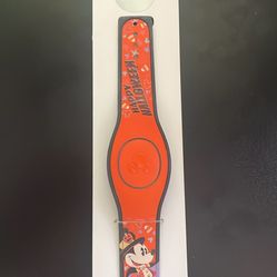 Disney Magic Band