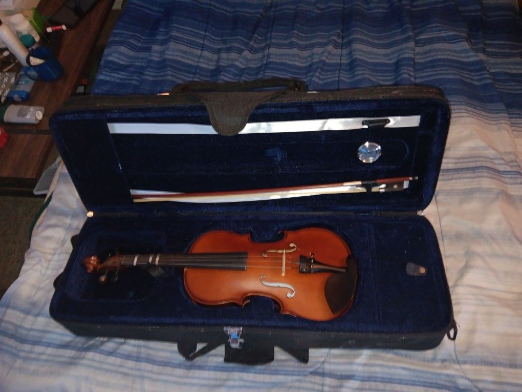 Violin