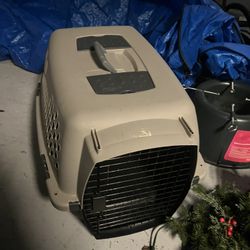 Medium Size Dog Grade Approximately 30 Inches Long