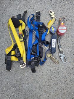Safety Harness