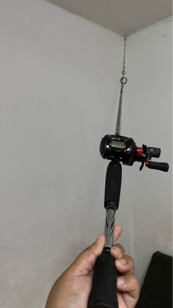 Fishing pole with everything