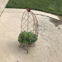 Ripple jade succulents in a metal bird half cage