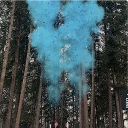 Gender Reveal Cannon