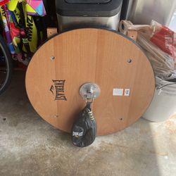 Speed Bag & Mount 