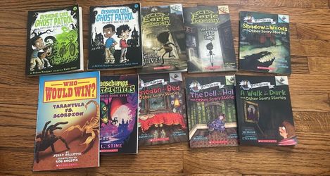 Lot of 10 Scholastic Children's Chapter Books
