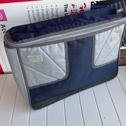 Small Insulated Cooler Bag 