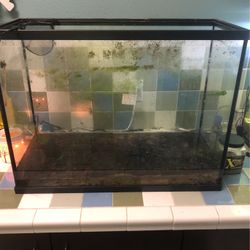 Aquariums and Supplies