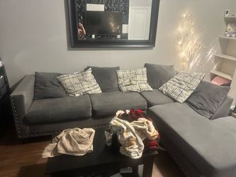 2 piece sectional sofa/couch