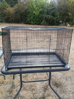 Large 30" Black Wire critter/bird cage with removable tray