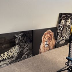 Large Portraits
