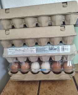 Fresh Eggs