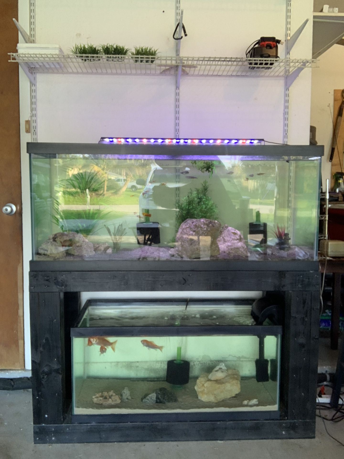 Fish Tanks For Sale