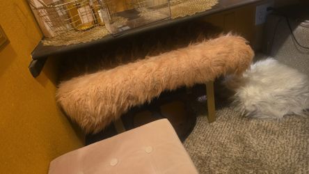 Fluffy Chair