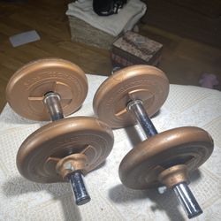 Ted Williams dumbbell’s