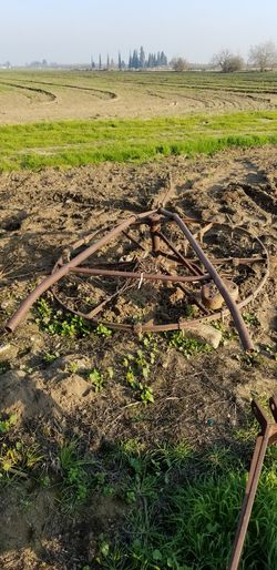 Harrow / horse drawn