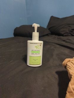 Bath & Body Works Moisturizing Hand Sanitizer Eucalyptus Mint 