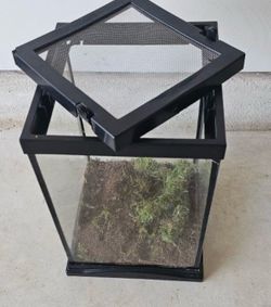 Terrarium