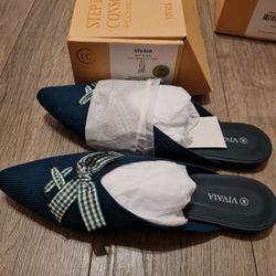 Vivaia Pointed Flats NEW