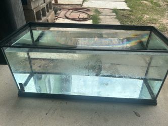 20 gallon fish tank