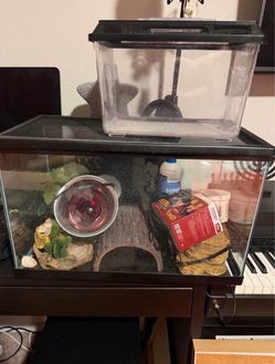 Reptile Terrarium Tank Setup with Heat Lamp and Accessories