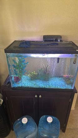 Fish tank