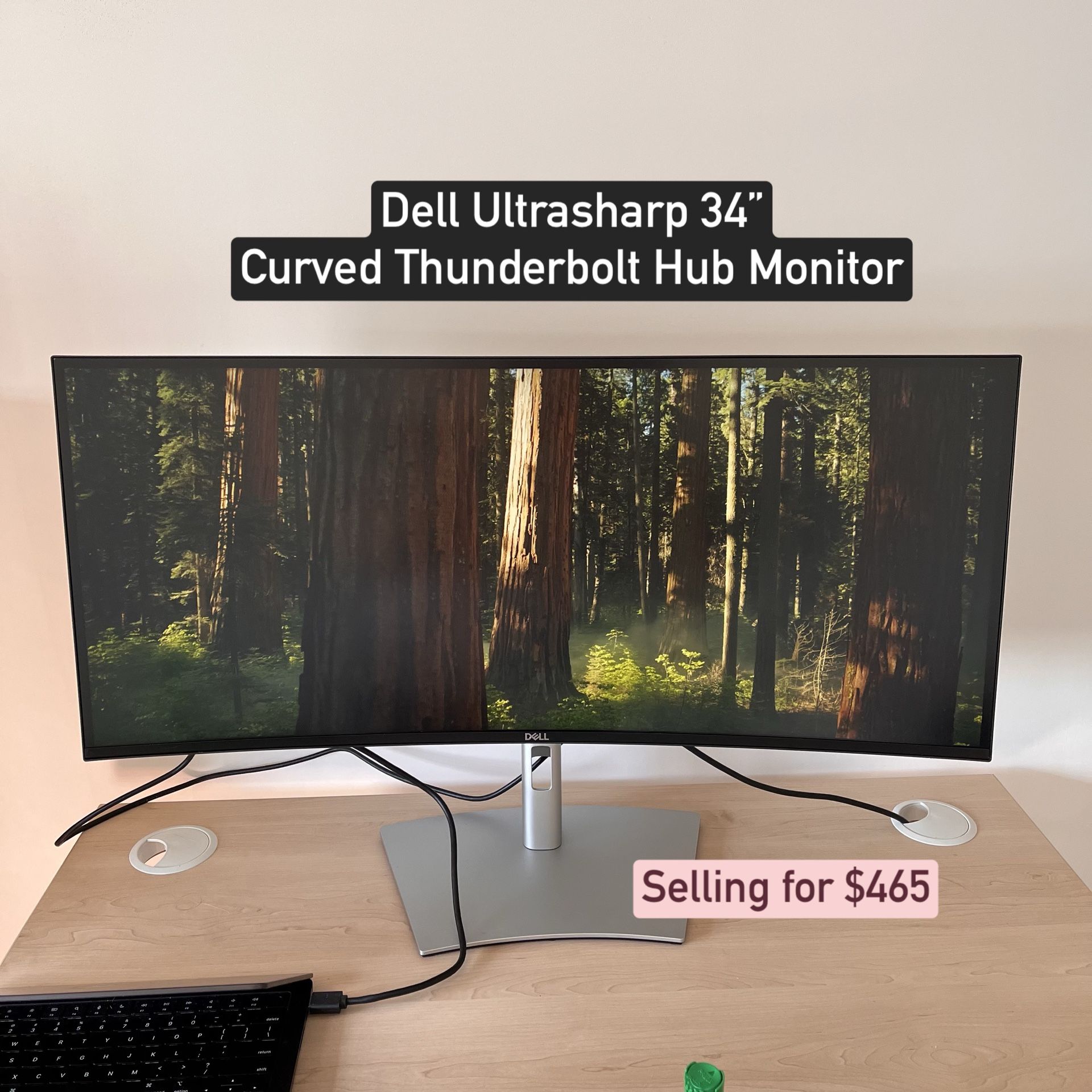 Dell Ultrasharp 34” Curved Thunderbolt Hub Monitor (with the HDMI cable ...