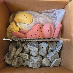 Assorted climbing holds