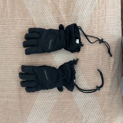 dakine ski gloves