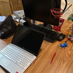 Monitor /laptop 