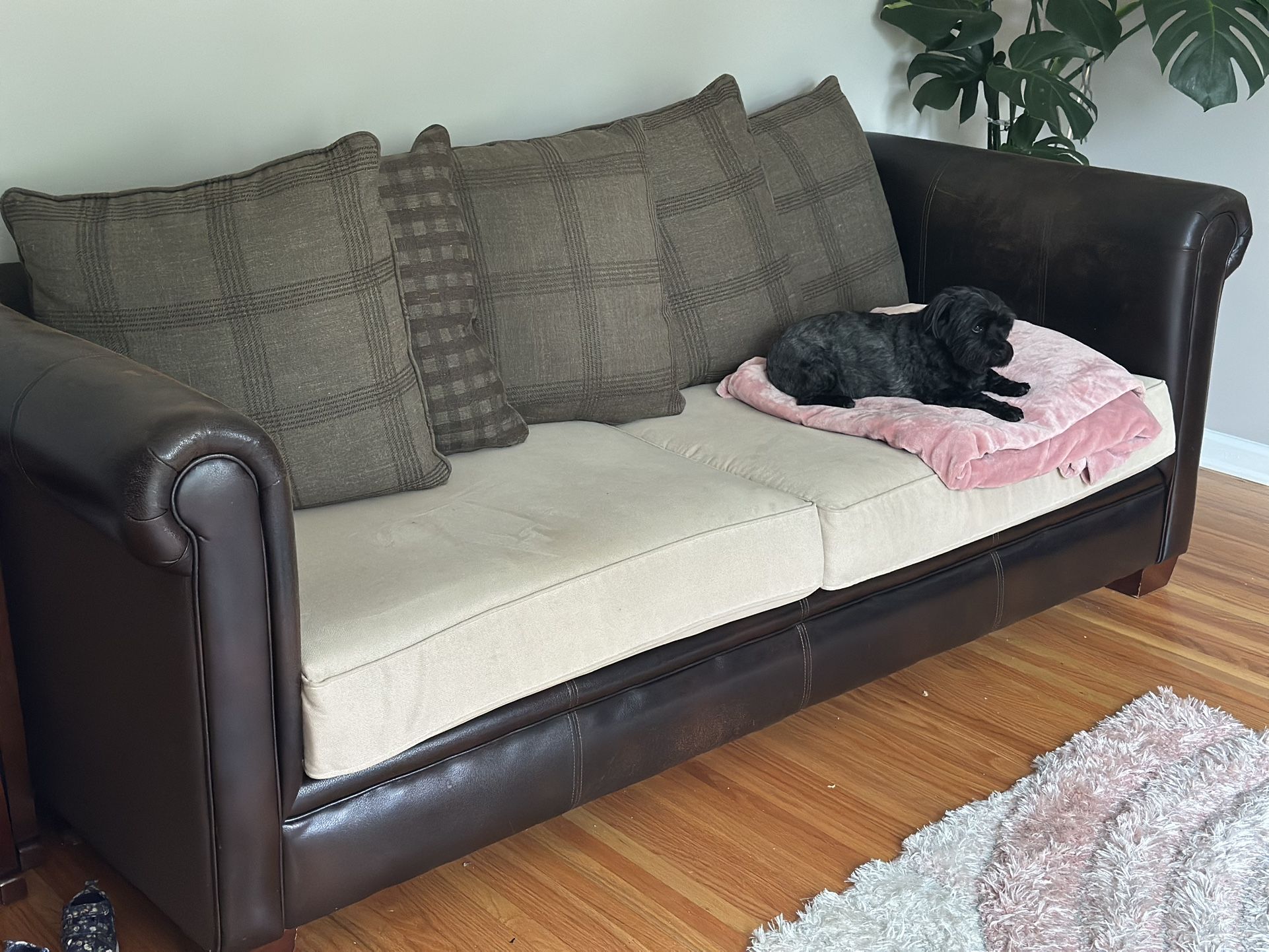 Couch