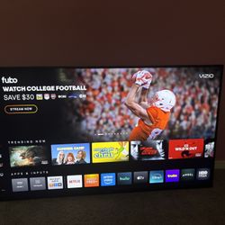 65” Vizio Smart Tv 