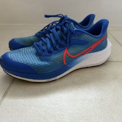 Nike Air Zoom Pegasus39