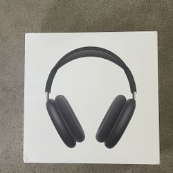 Apple Air Max Headphones 