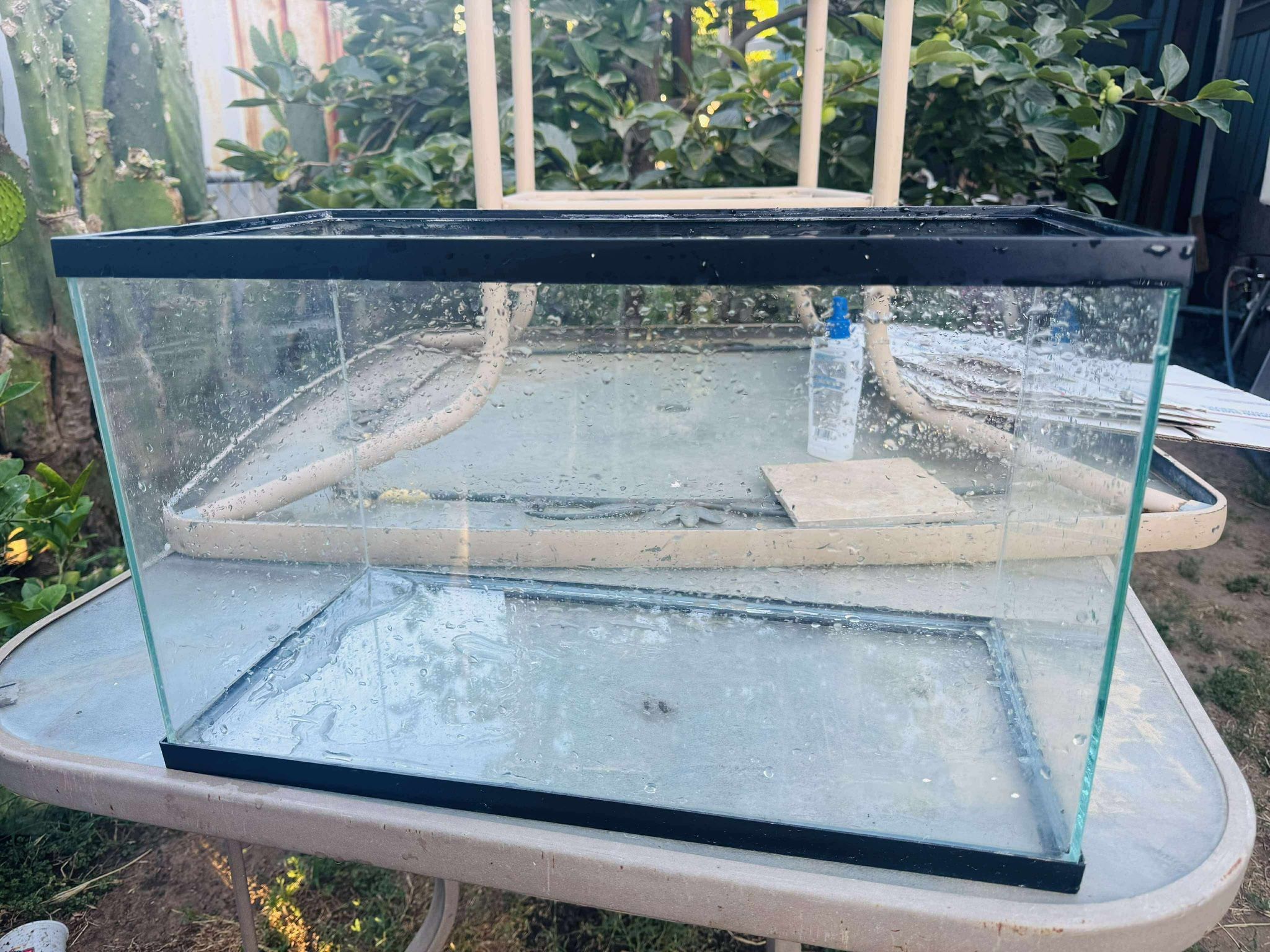 10 Gallon Fish Tank