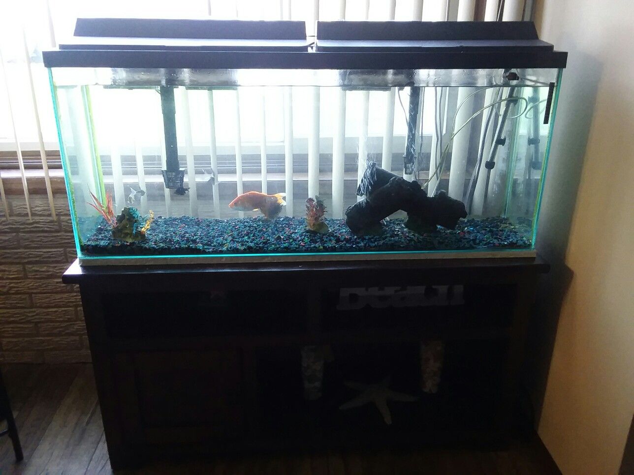 Fishtank